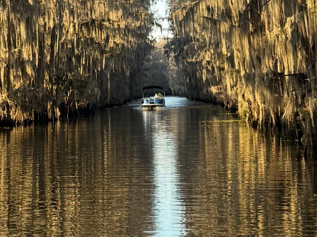 Captain Ron's Swamp Tours-Karnack必去景点