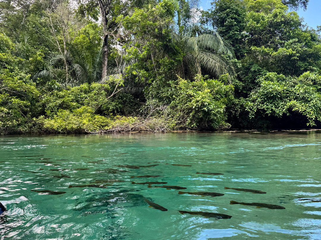 Rio da Prata-南马托格罗索州必去景点