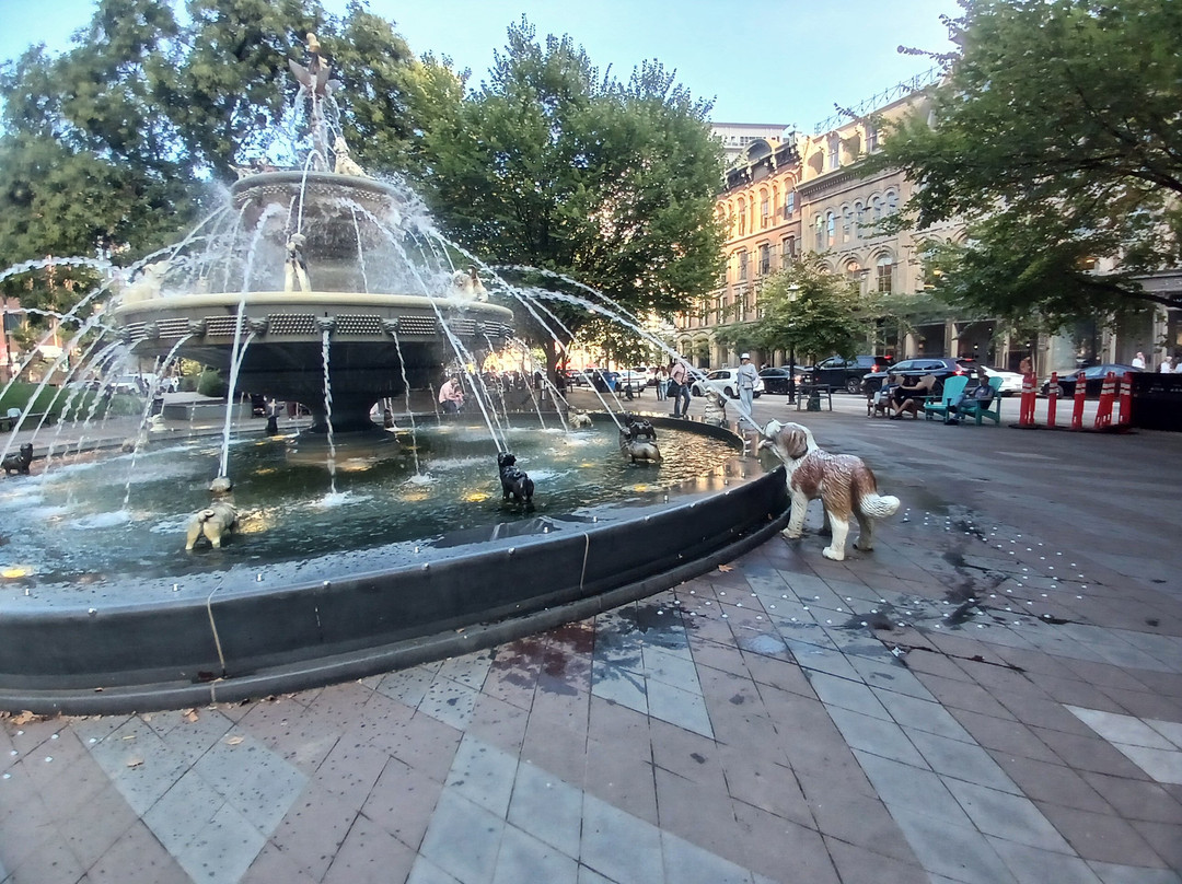 Berczy Park-多伦多必去景点