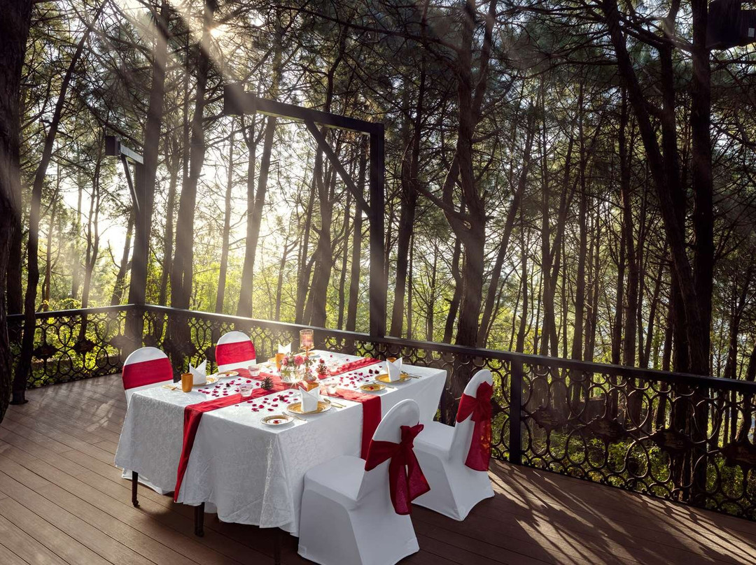 Kangra District酒店住宿-Radisson Blu Resort, Dharamshala