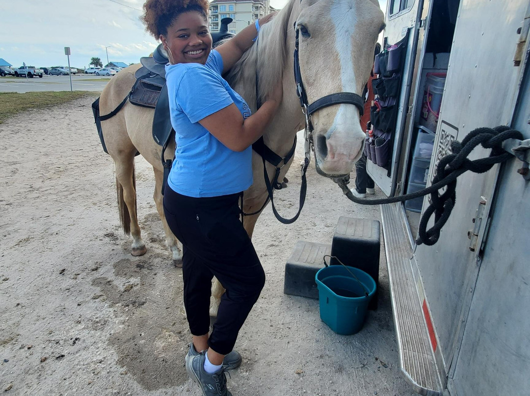 Amelia Island Horseback Riding-费尔南迪纳岛必去景点