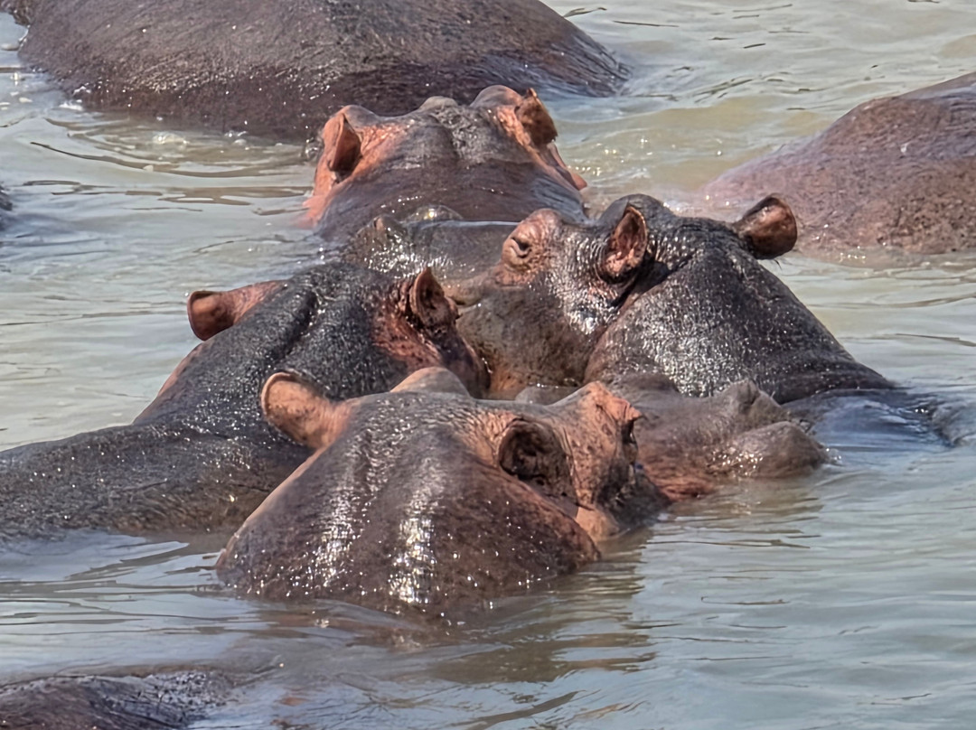 PearlAfric Tours & Travel-坎帕拉必去景点