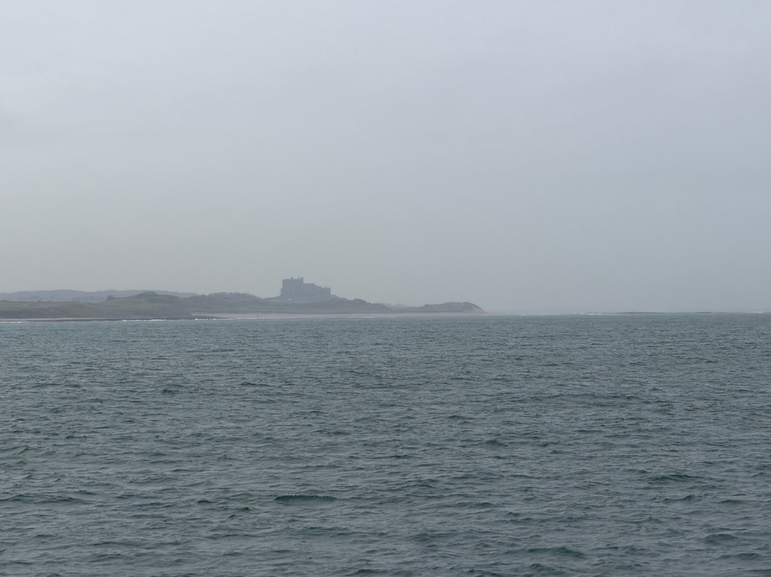 Billy Shiel's Boat Trips-Seahouses必去景点