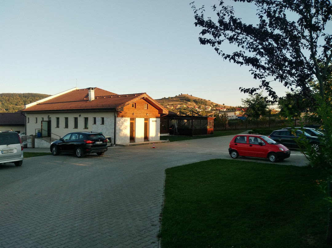 Ciurila酒店住宿-Casa Dinainte