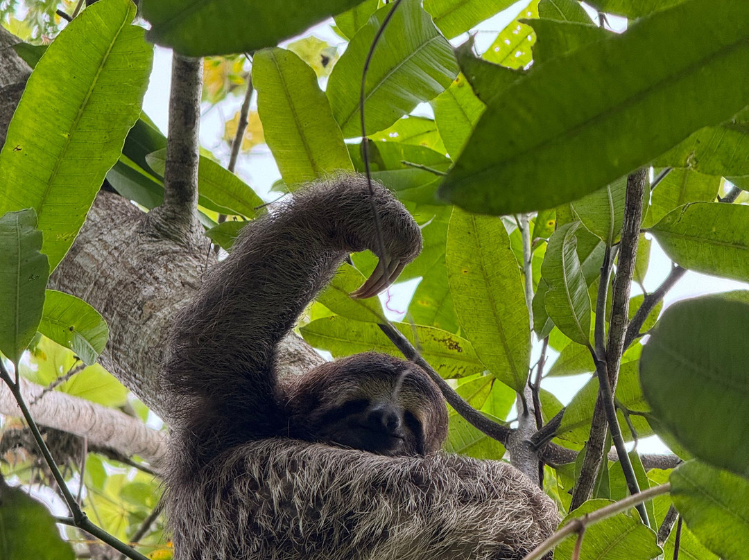 Nauyaca Waterfall Nature Park-Baru必去景点