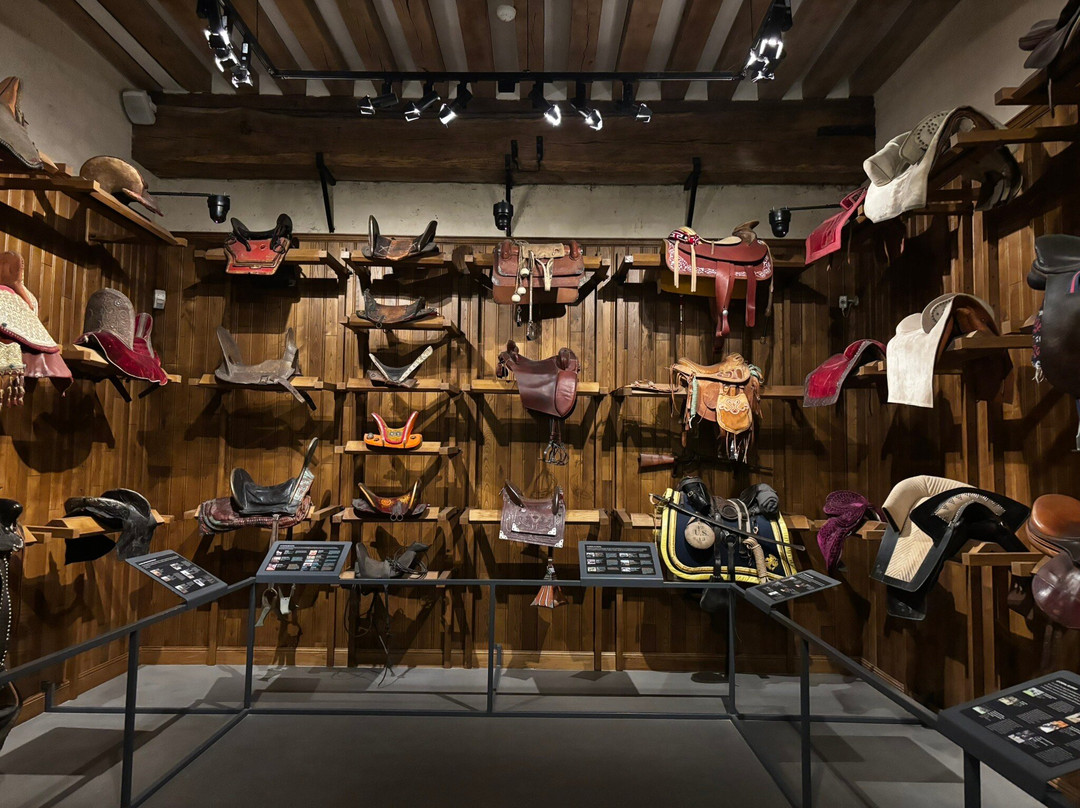 Musée Vivant Du Cheval-尚蒂伊必去景点