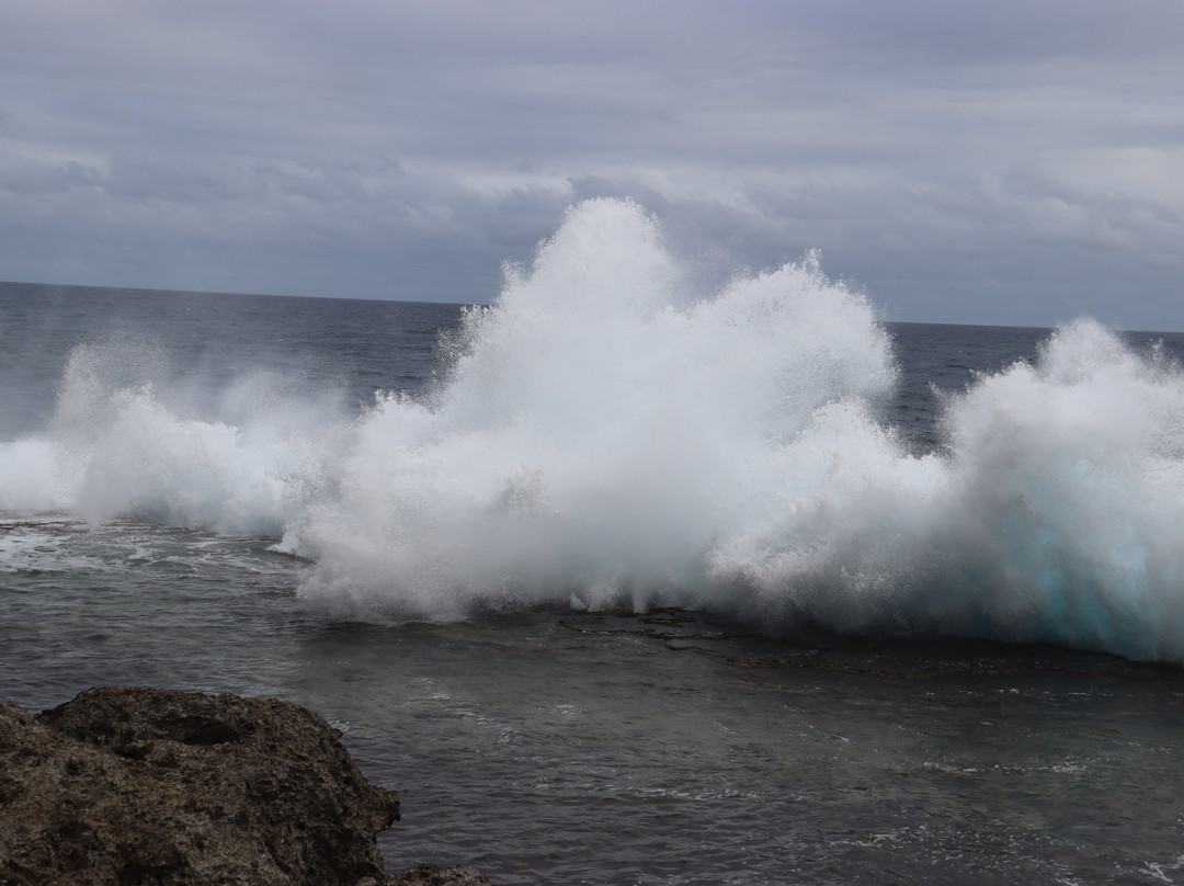 Mapu'a 'a Vaea Blowholes-Tongatapu Island必去景点
