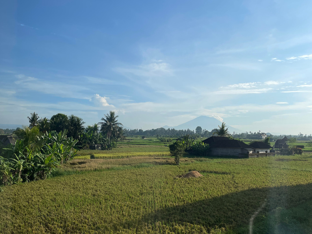 One Fit Wellness - Bali-Mambal必去景点