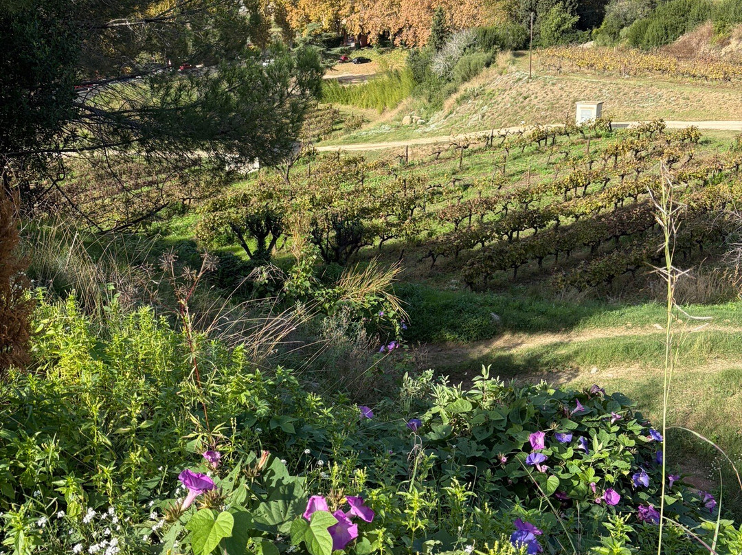 Bouquet d'Alella-Alella必去景点