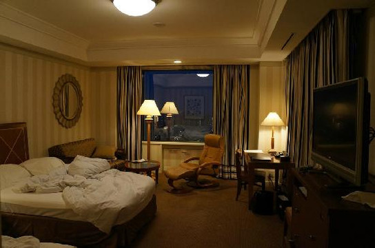 大阪帝国酒店主图