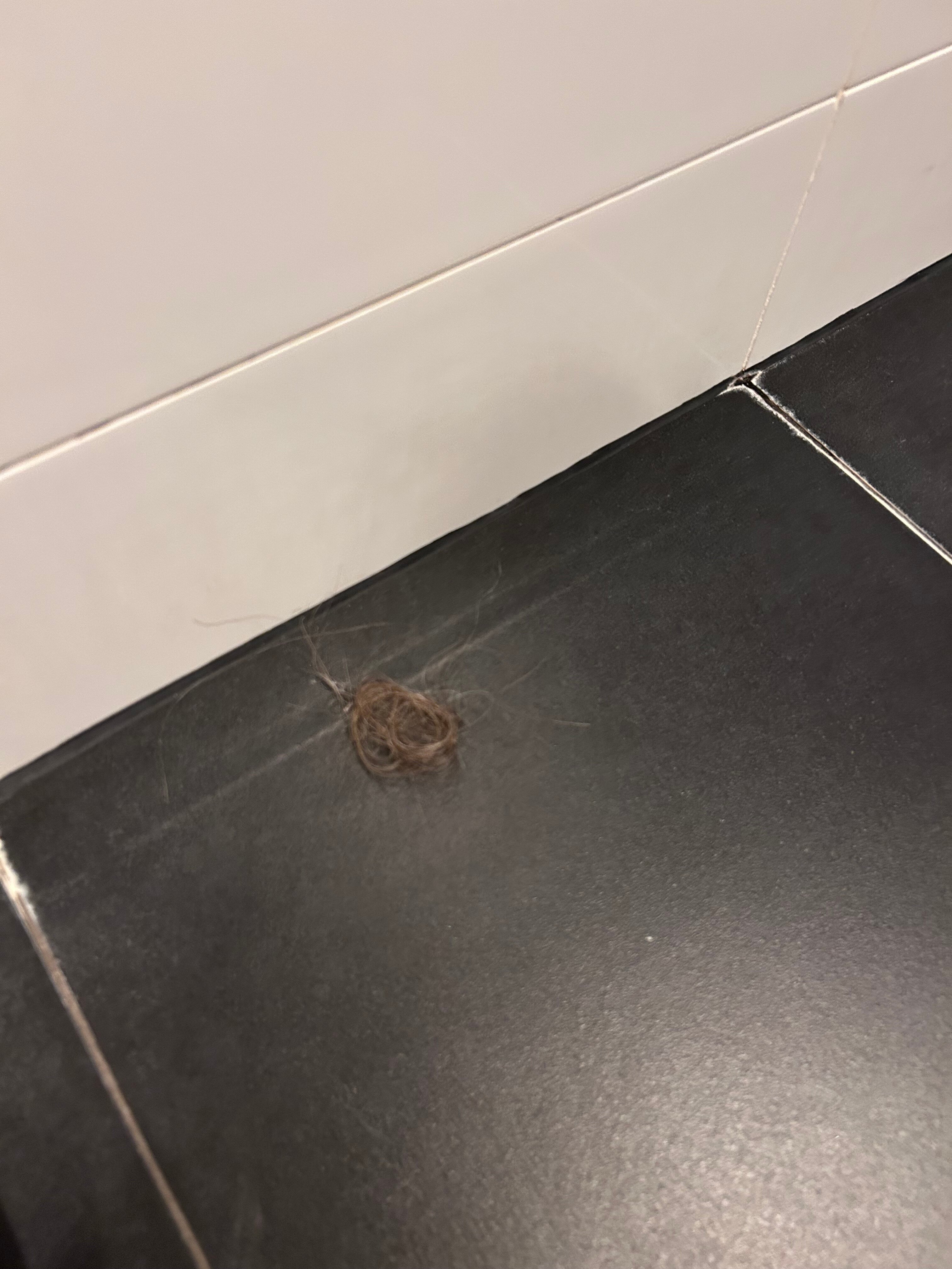 珀斯大都会皇冠酒店-官方