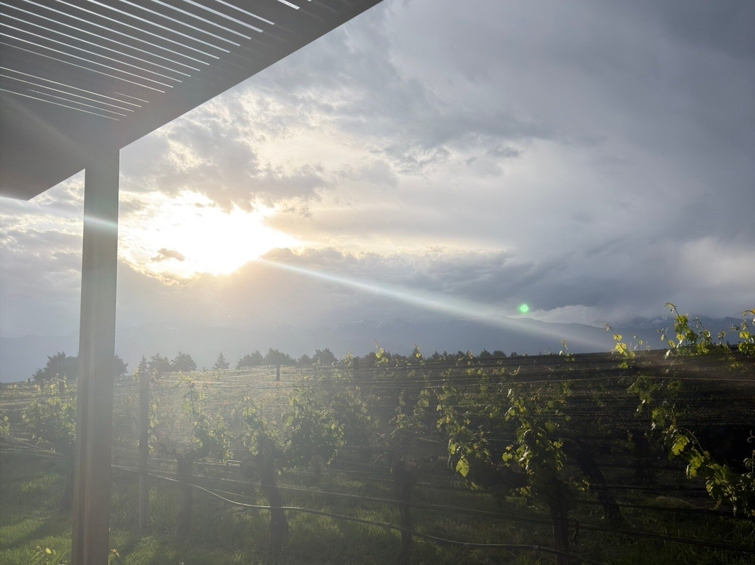 This is Mendoza-门多萨必去景点