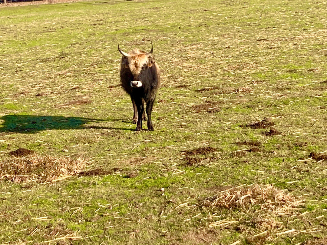 Paleolitico Vivo-布尔戈斯省必去景点