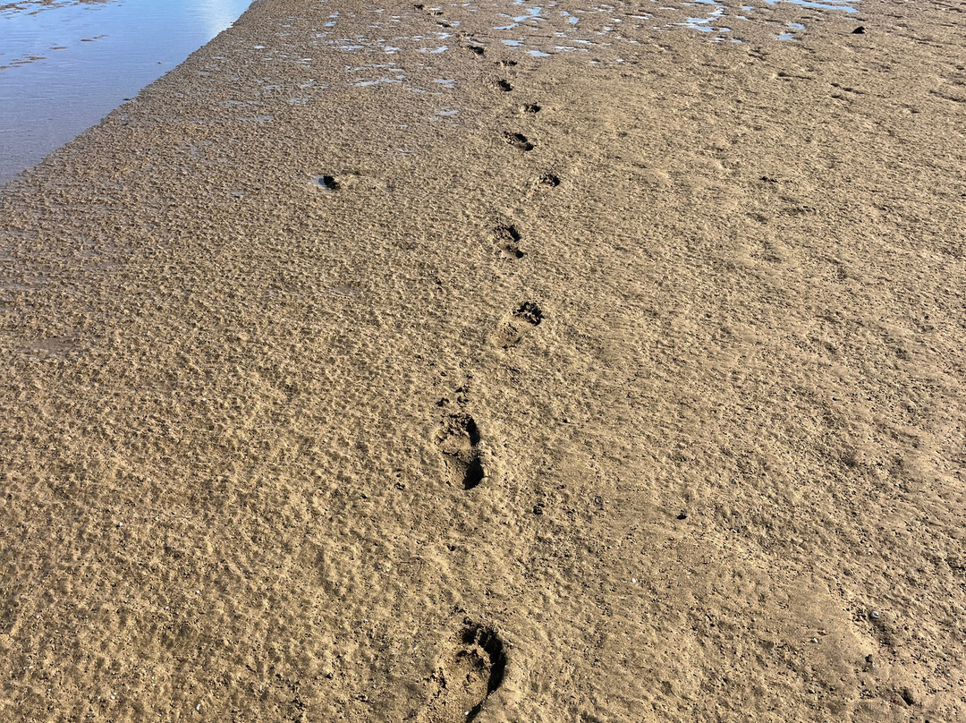 Isla La Graciosa-加纳利群岛必去景点