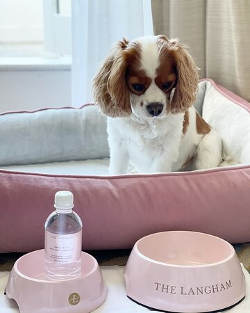 悉尼朗廷酒店主图