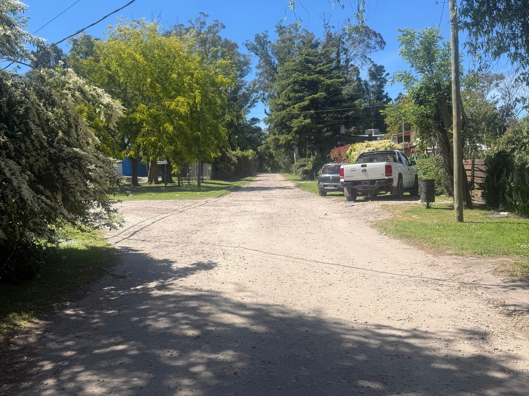 Bosque Peralta Ramos-马德普拉塔必去景点