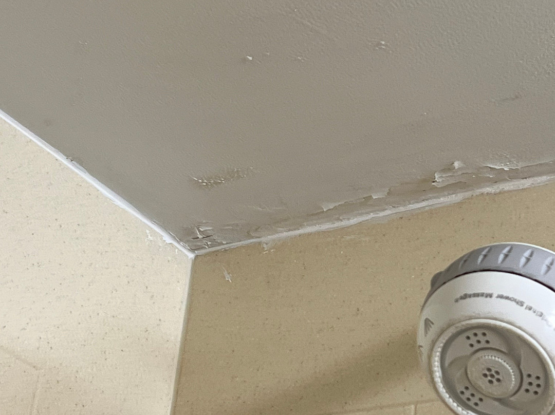 Hampton Inn Harrisonburg - South主图