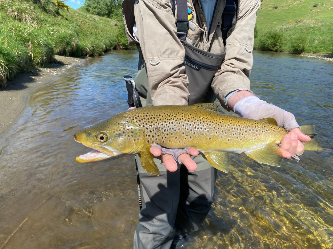 Mataura Valley Trout Safaris-戈尔必去景点