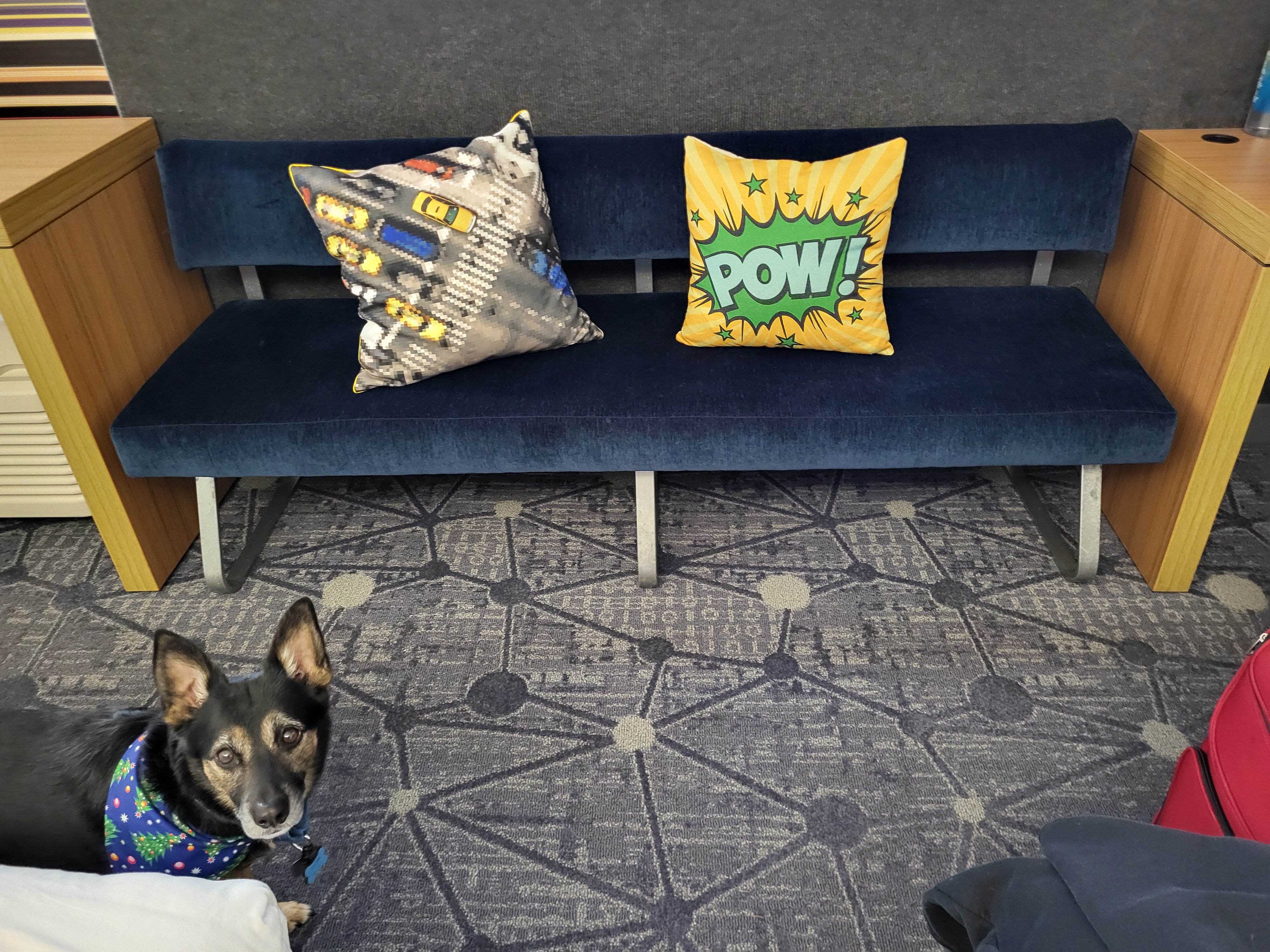 芝加哥奥黑尔雅乐轩酒店-客卧