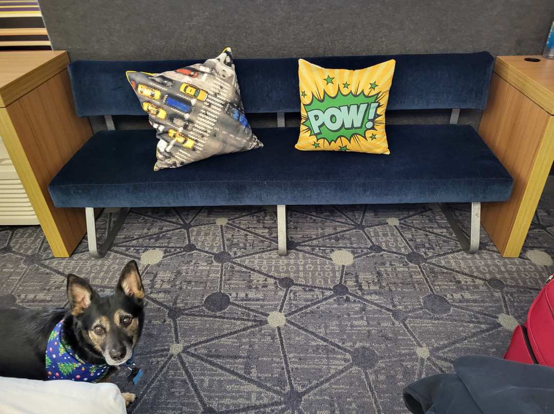 芝加哥奥黑尔雅乐轩酒店主图