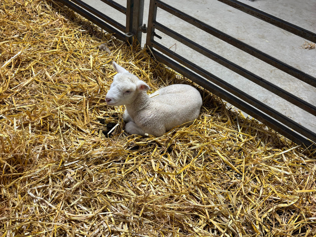 Glenshane Country Farm-Maghera必去景点