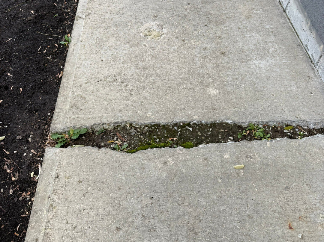 伊萨卡乡村套房酒店主图