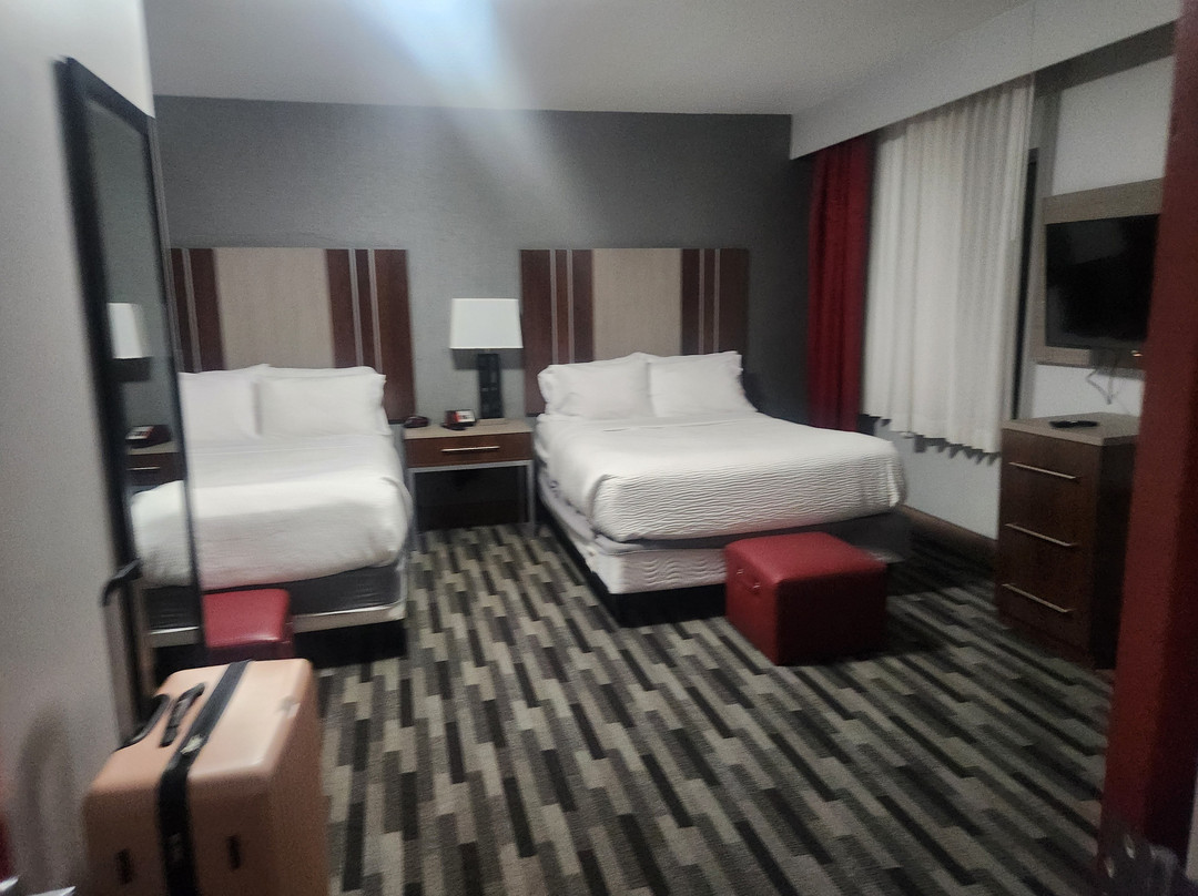 Staybridge Suites Columbus OSU-Medical Center by IHG主图