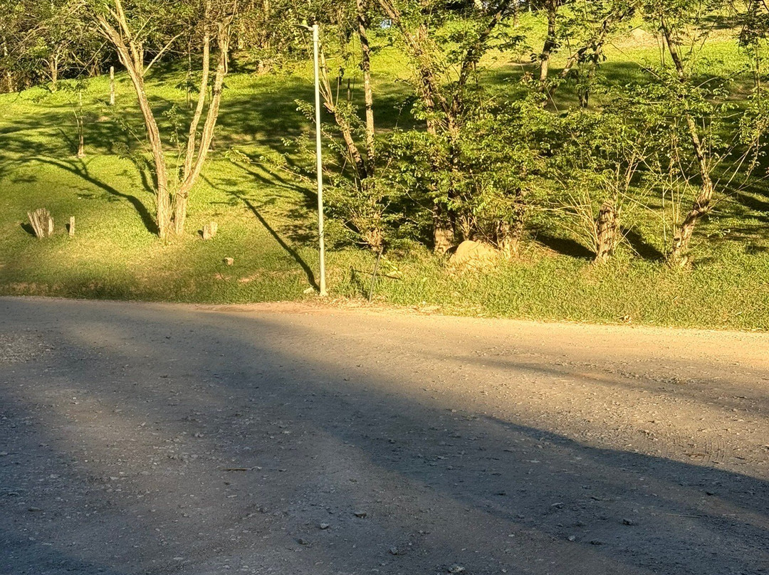 Parque do Carmo-圣保罗必去景点