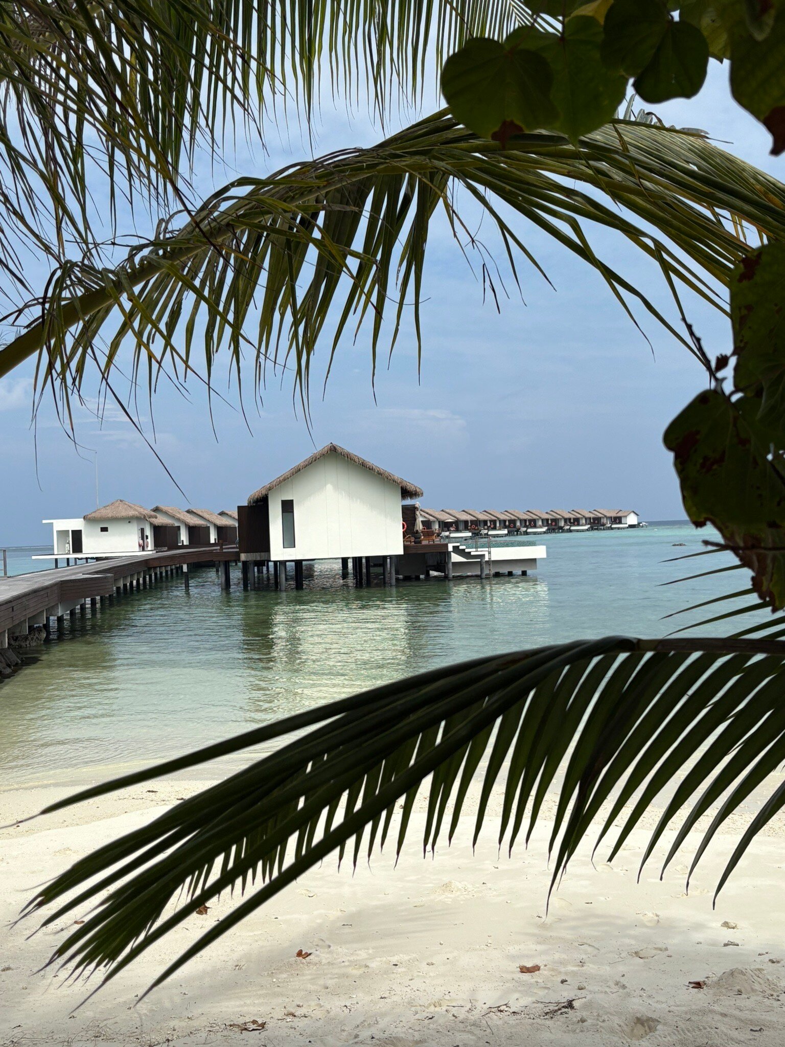 马尔代夫瑞僖敦度假村-官方