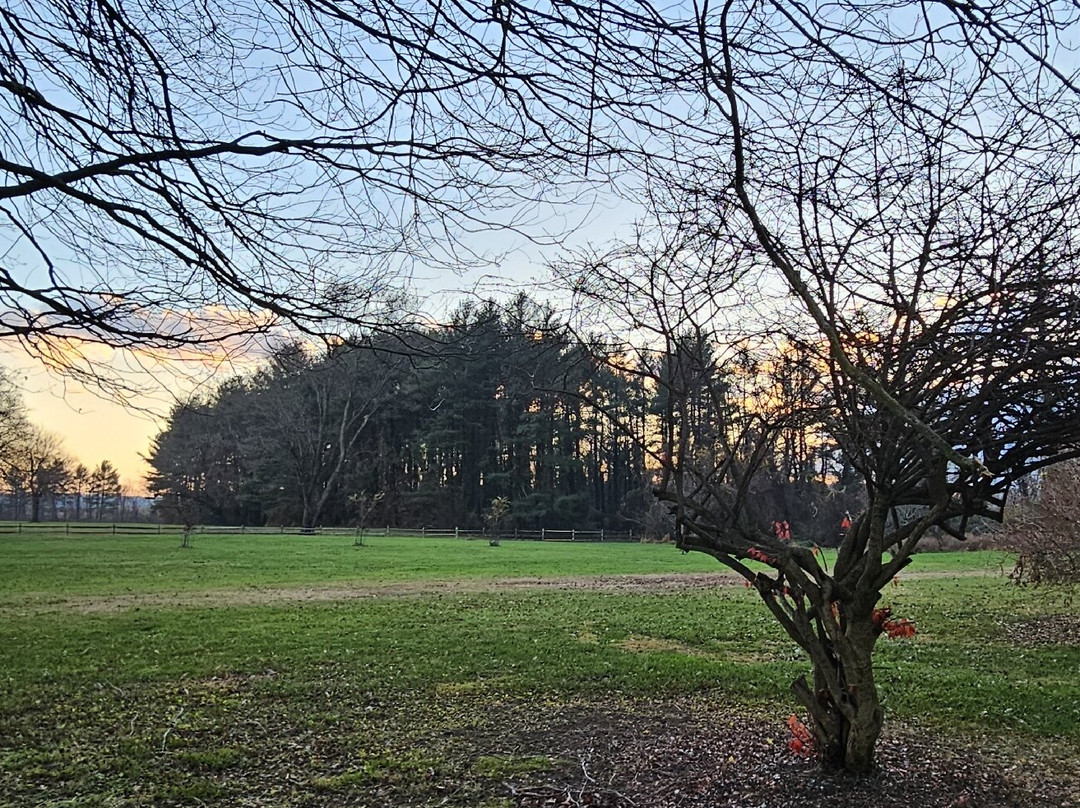 Joppa Historic District