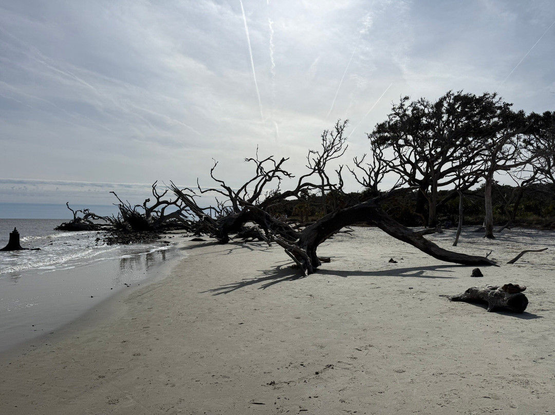 Driftwood Beach-吉柯岛必去景点
