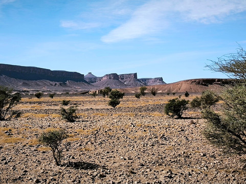 Desert Stars tours-瓦尔扎扎特必去景点