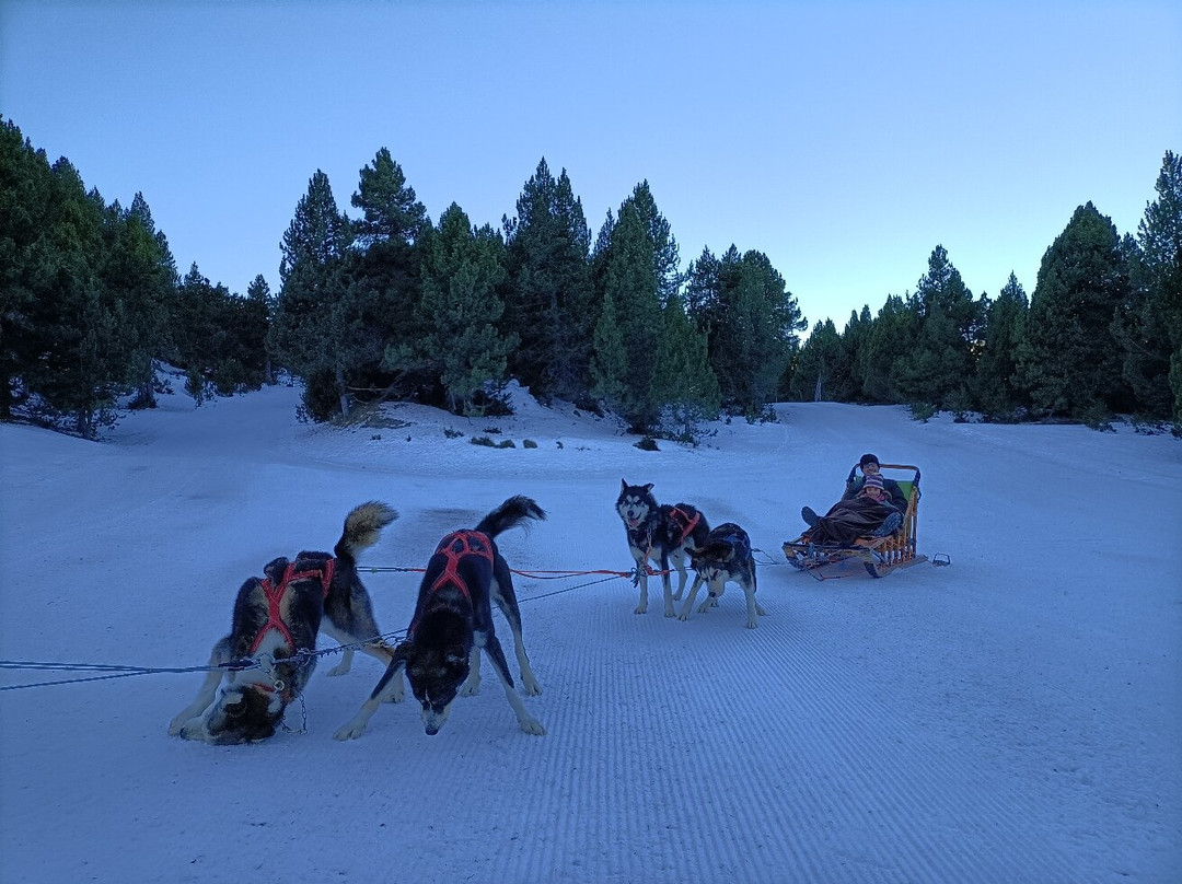 Grandvalira - Sector El Tarter