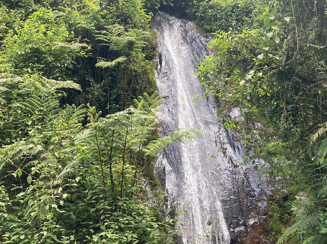 New Horizon Africa Safaris-吉佳利必去景点