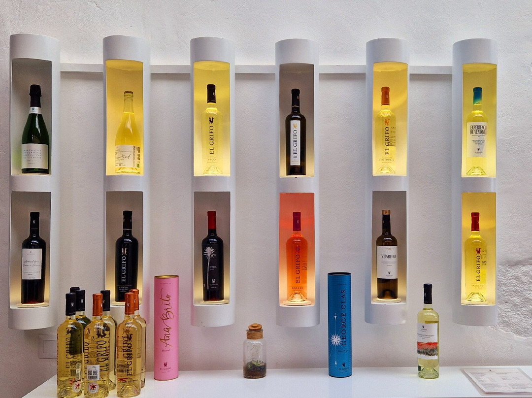 El Grifo - Museo del Vino-San Bartolome必去景点