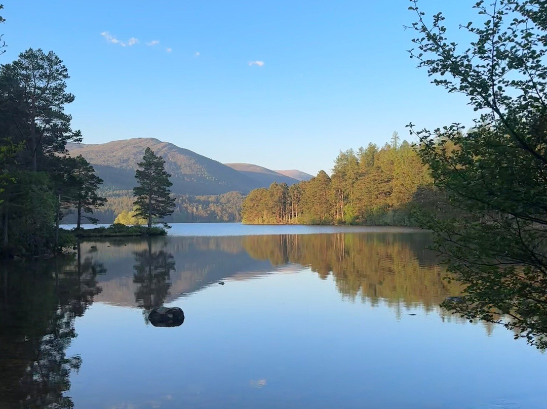 Loch an Eilein-阿维莫尔必去景点