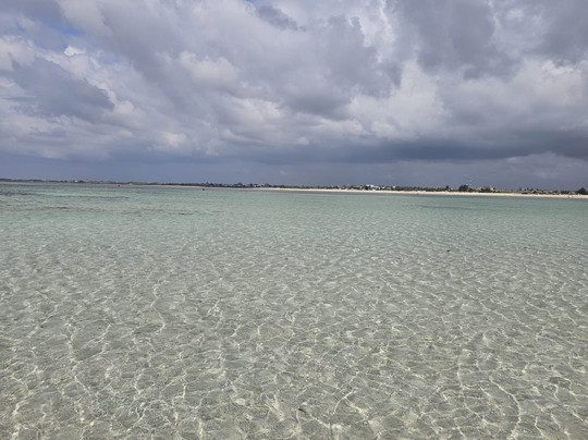 Omar Safari Kenya-瓦塔木必去景点