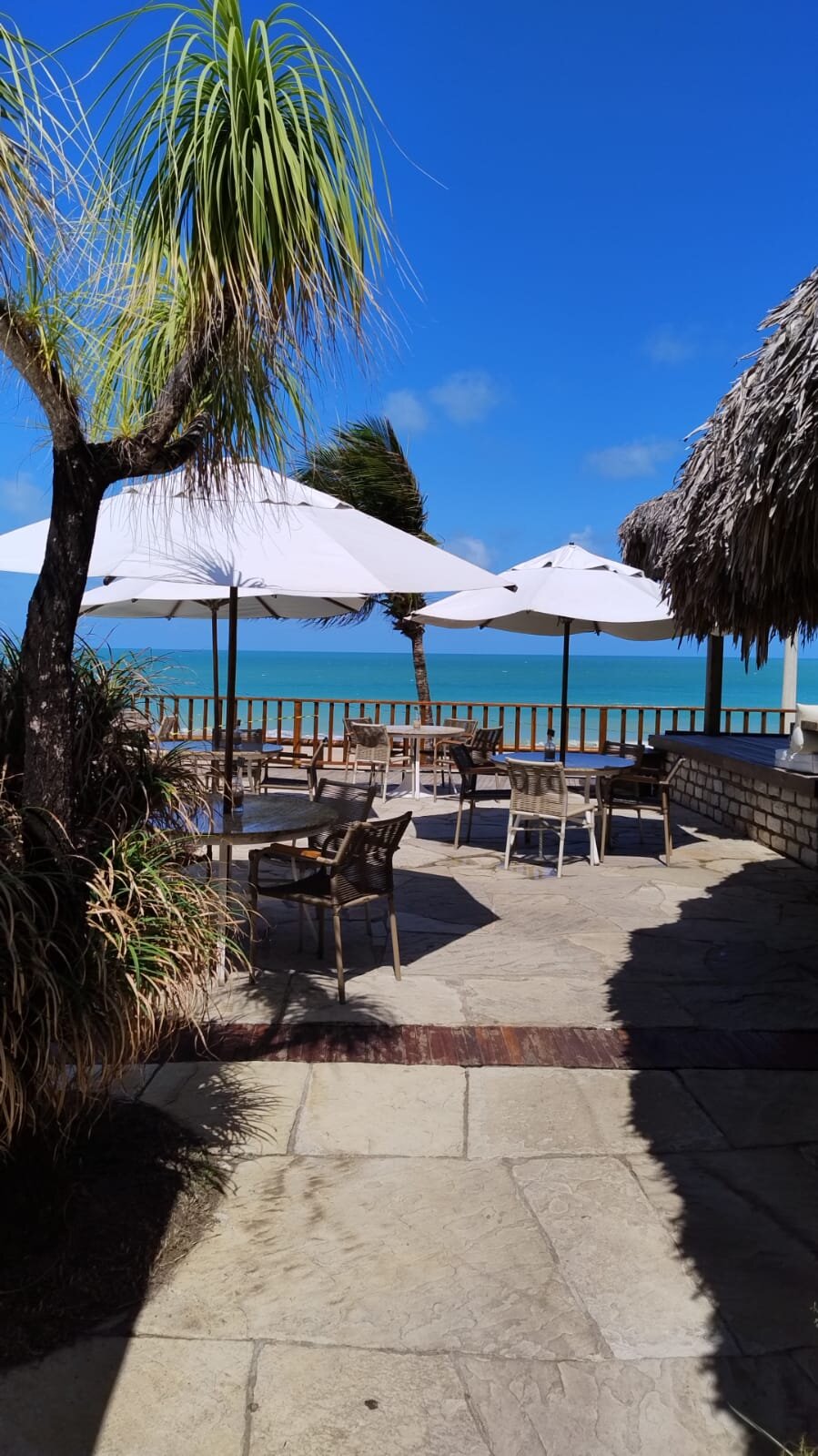 Manary Praia Hotel-官方