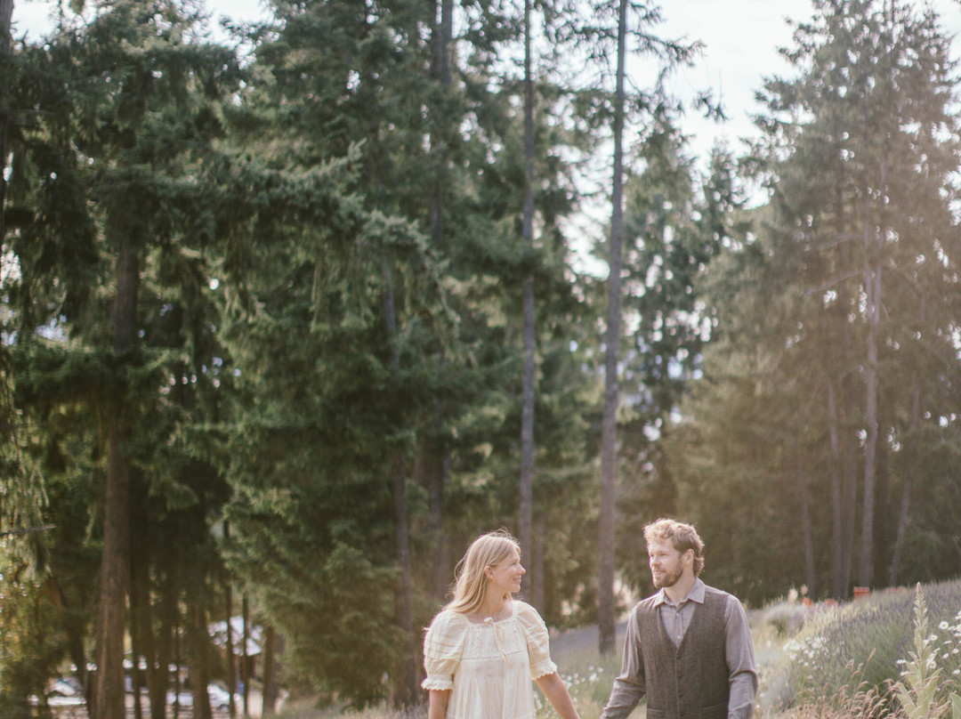 Lavender and Black-盐泉岛必去景点