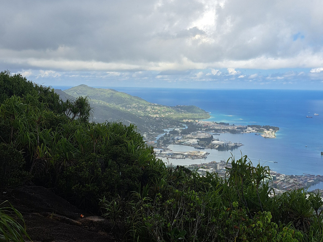 Sey Taxi-维多利亚必去景点