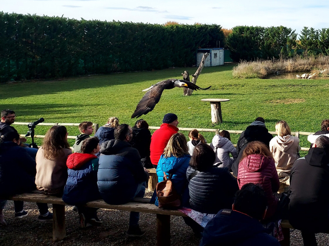 Tierra Rapaz-Calahorra必去景点