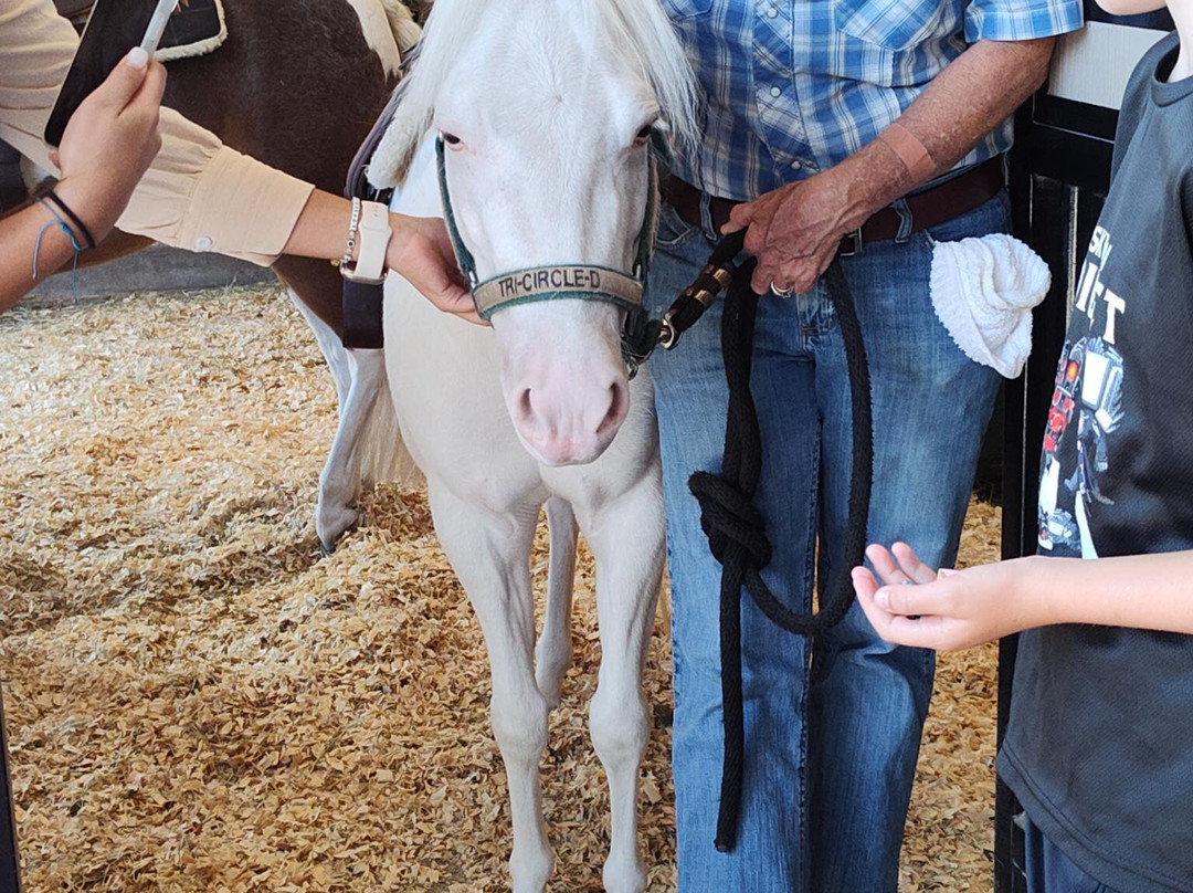 Tri-Circle-D Ranch-奥兰多必去景点