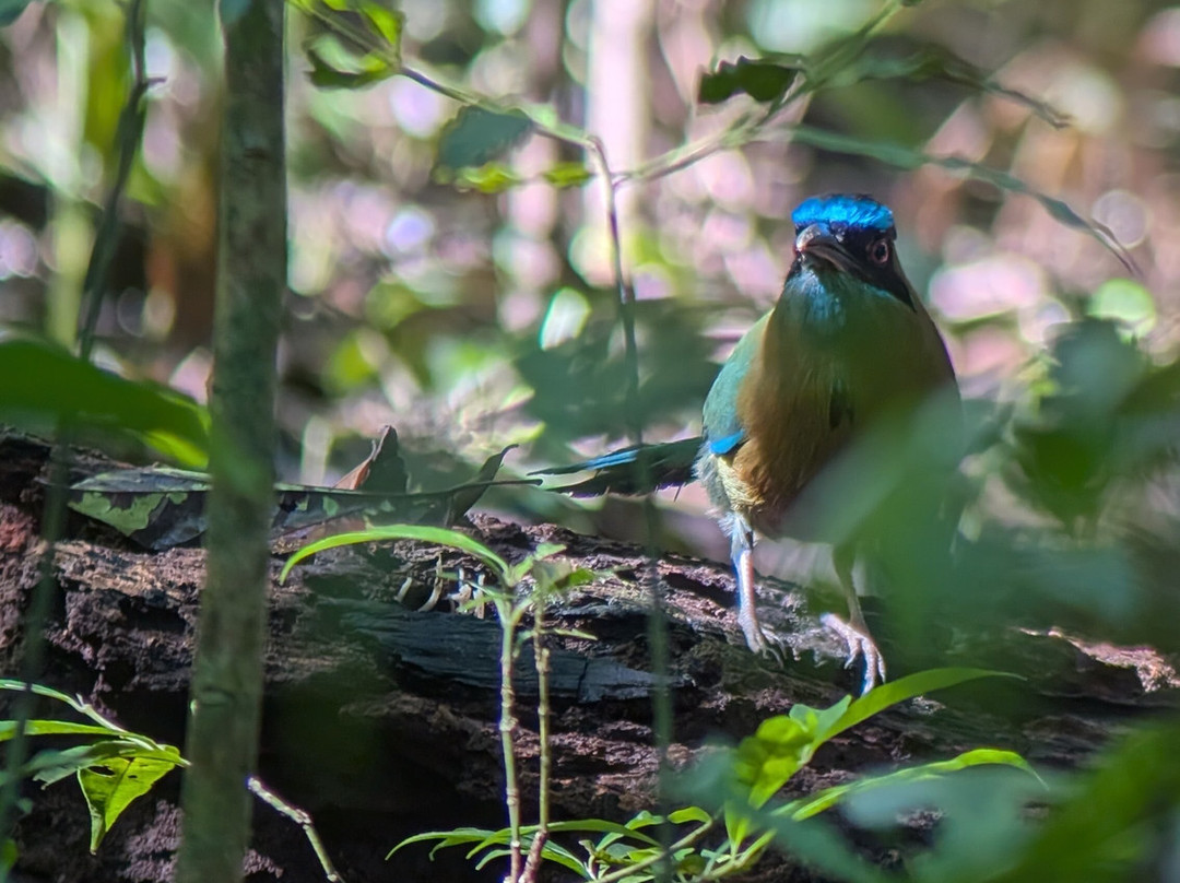Sukia Travel-德雷克湾必去景点