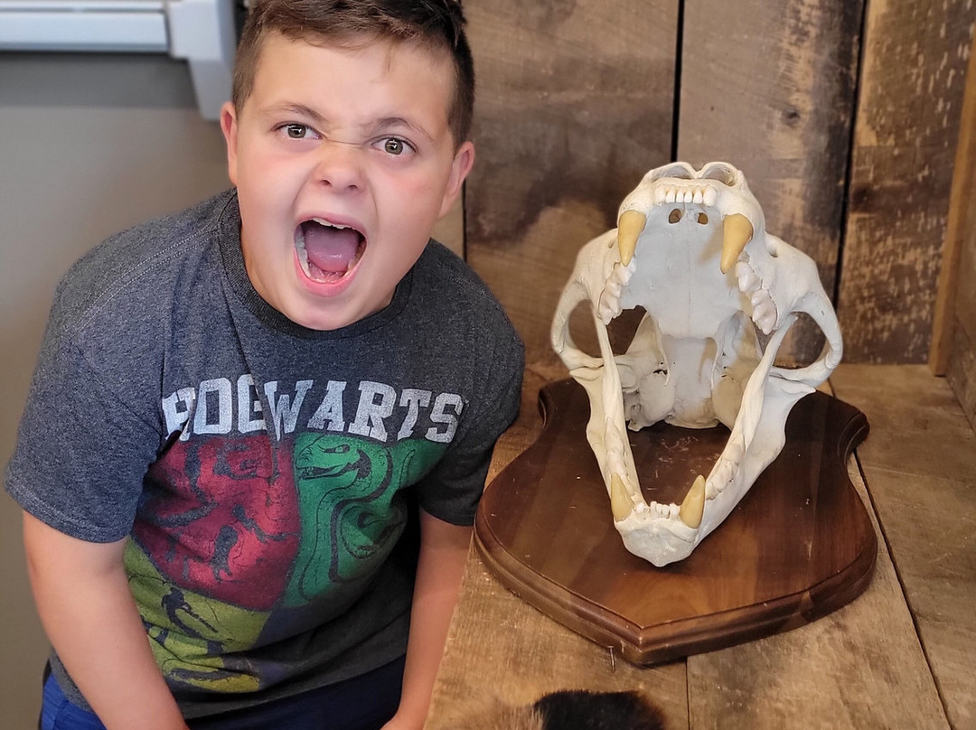 Outdoor Discovery Center-荷兰村必去景点