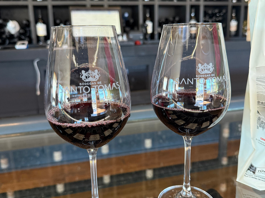 Bodegas De Santo Tomás-恩塞纳达必去景点