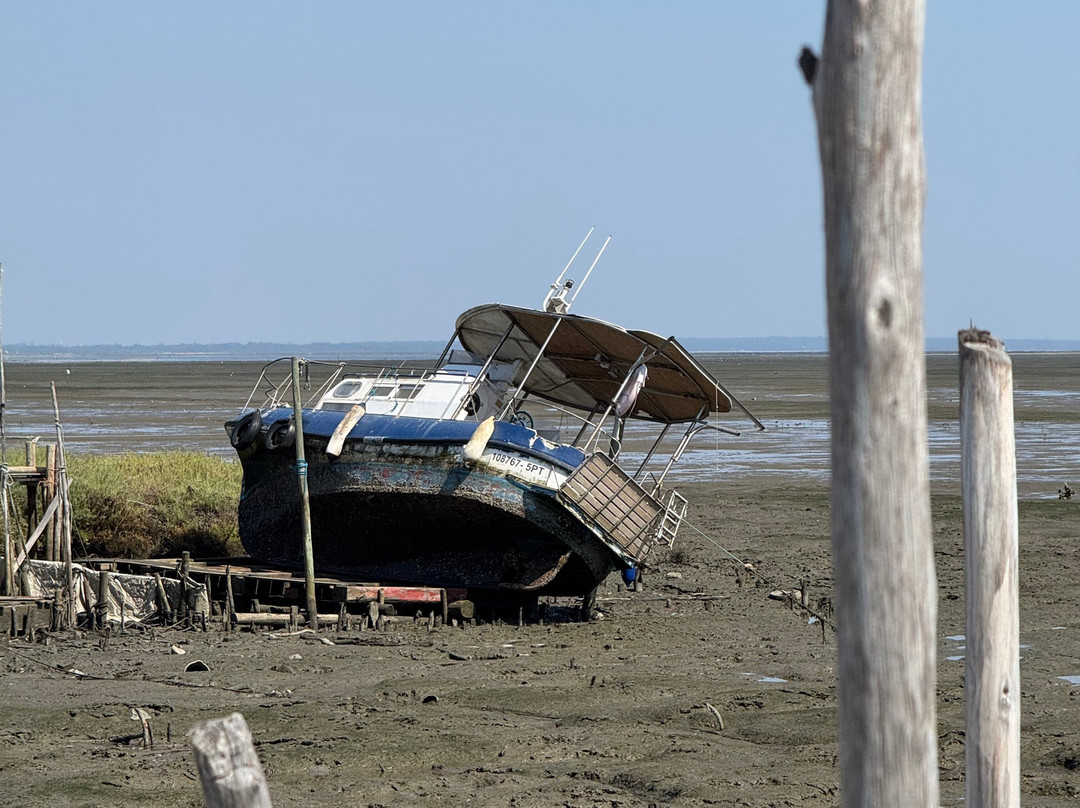 Comporta Experience-Comporta必去景点