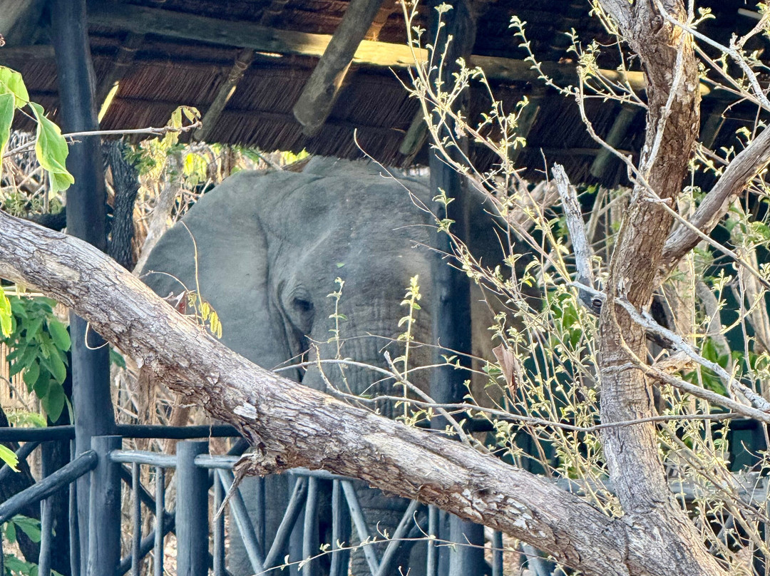 Rufiji River Camp主图