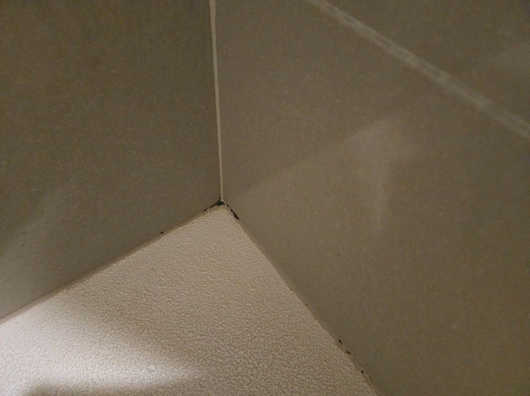 Hyatt House Rochester / Mayo Clinic Area主图