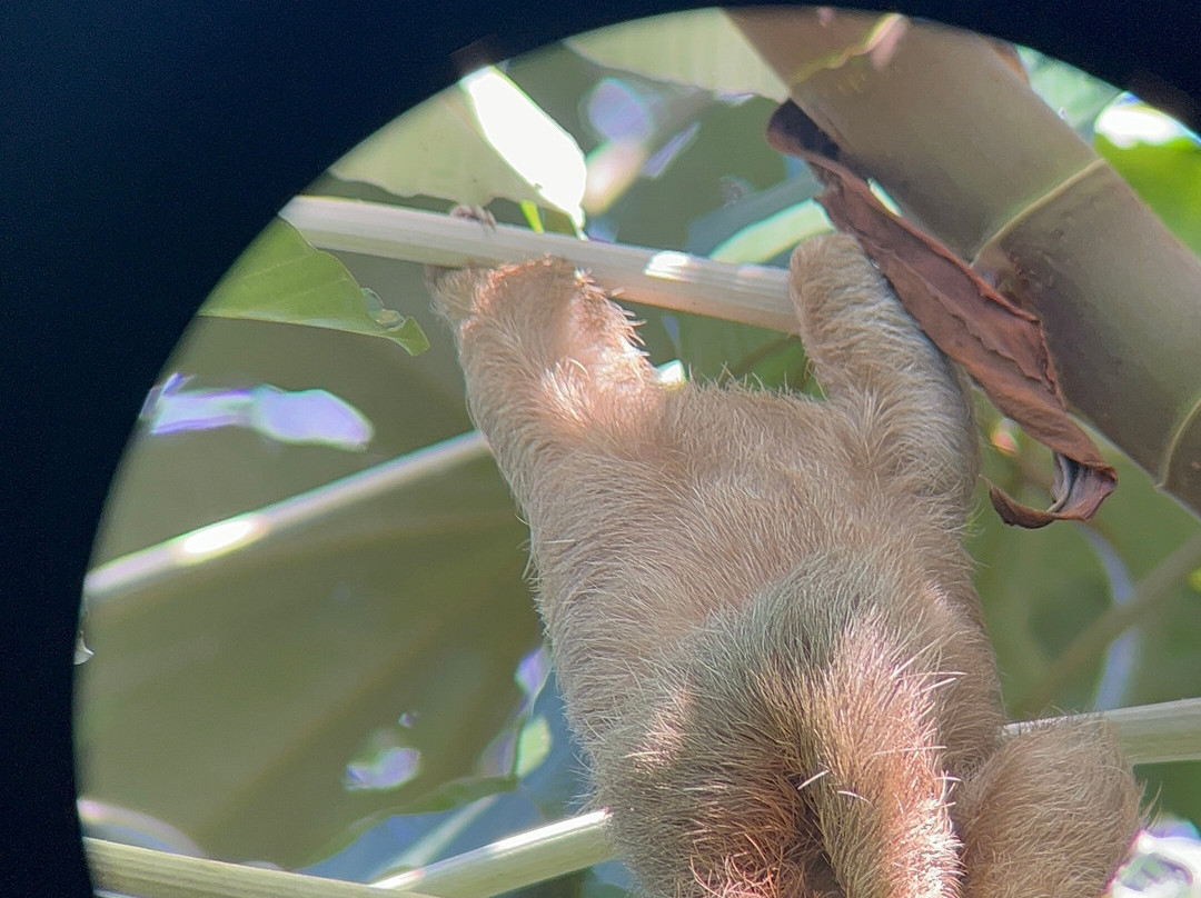 My Costa Rica-圣何塞必去景点