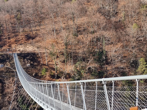 Ponte Sospeso Di Mezzocorona